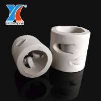 25mm 38mm 50mm 80mm Ceramic Random Packing Ceramic Pall Ring